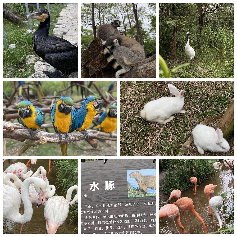 厚積薄發(fā)，蓄力前行：大手牽小手，共圓實(shí)佳夢(mèng)